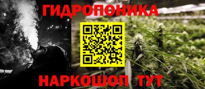 ECSTASY Будённовск